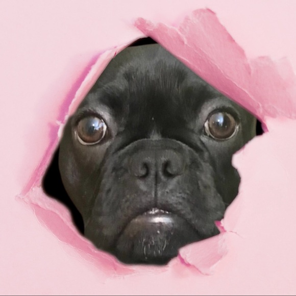 Meet your Posher, Debi - Picture 2 of 15